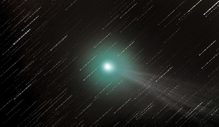 "Kometa C/2014 Q2 Lovejoy", zwycięzca kategorii "Young Astronomy Photographer of the Year", fot. George Martin